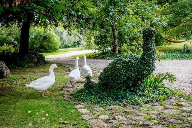 La Casa Degli Elfi Villa Manziana Eksteriør billede