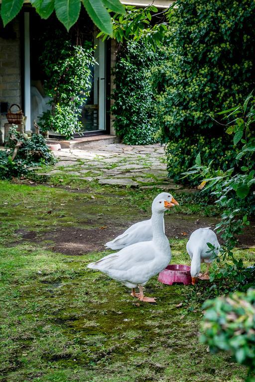 La Casa Degli Elfi Villa Manziana Eksteriør billede